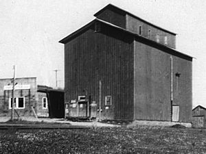 Archivo:Port Perry grain mill and elevator circa 1930