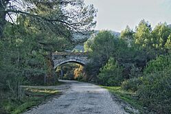 Archivo:Puente sobre antigua via del ferrocarril en L'orxa