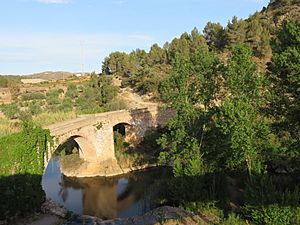 Archivo:Puente viejo de Sot de Ferrer