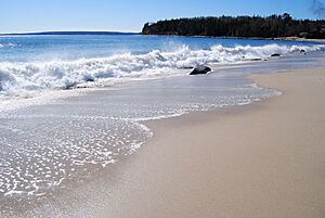 Archivo:Queensland Beach (24680411134)