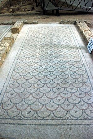 Archivo:Quintanilla de la Cueza Villa romana Tejada Habitación 23 Mosaico Escamas Imbricadas 001