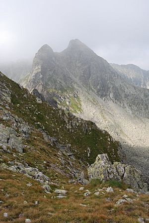 Archivo:Retezat Mountain - Judele Peak 01