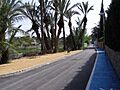 Rincón de las Delicias. Las Torres de Cotillas