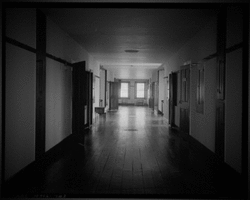 Archivo:Screamer1