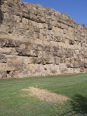 Archivo:Servian Wall-Termini Station