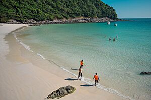 Archivo:Smart Island