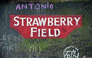 Archivo:Strawberryfield