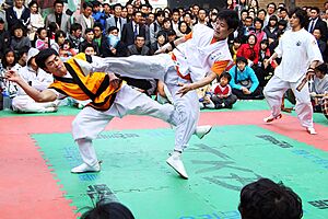 Archivo:Taekkyeon-taekkyon-01