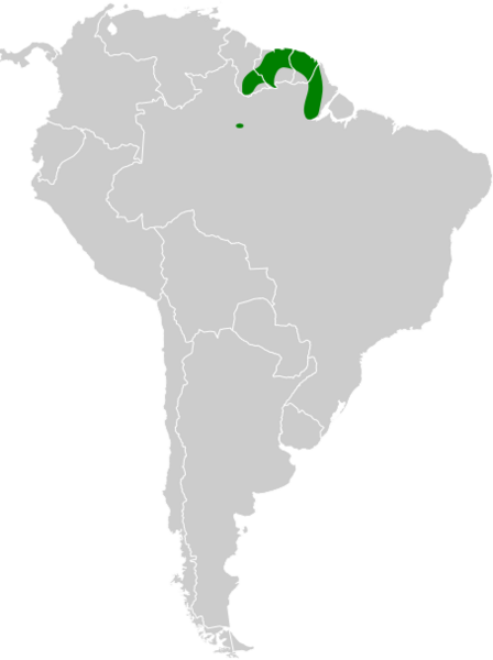 Thamnophilus melanothorax map