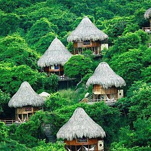 Archivo:Thatched Roofs (Sierra Nevada de Santa Marta, Colombia)