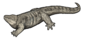 Tseajaia campi.png