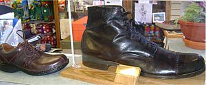 Archivo:Wadlow shoe compared