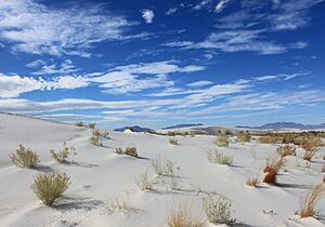 Archivo:WhiteSandsScene