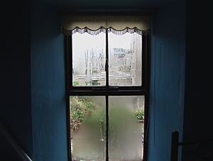 Archivo:Window in Ireland