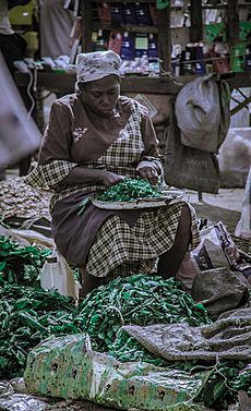 Archivo:Woman chopping ugwu