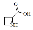 (S)-(-)-2-Azetidinecarboxylic acid.png