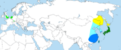Distribución en Asia y Europa de Aix galericulata