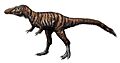 Alioramus altai