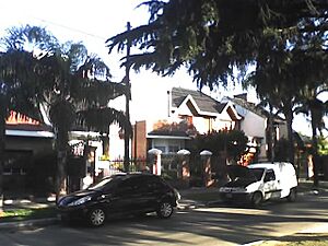 Archivo:Av. 25 de Mayo Merlo