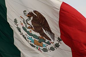 Archivo:Bandera mexicana en el zócalo de la Ciudad de México