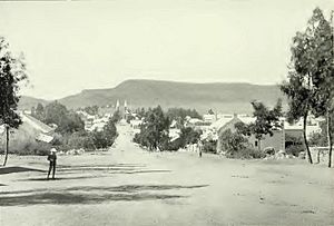 Archivo:Bloemfontein, from the South - c1900