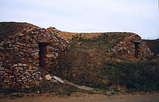Bodegas (Faramontanos de Tábara).jpg