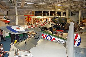 Archivo:Bristol Bulldog REJS