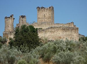 Archivo:Castillo de Mayoralgo