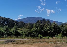 Cerro Patamban.jpg