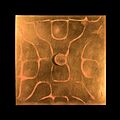 Chladni plate 18