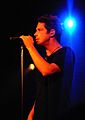 Chris Cornell 2007