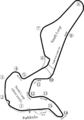 Circuit Mont-Tremblant Track Map