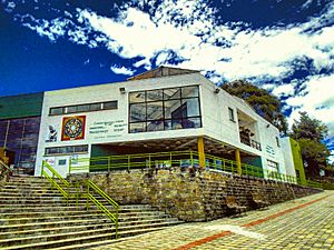 Ciudadela Educativa y Cultural El Lago, Sonsón