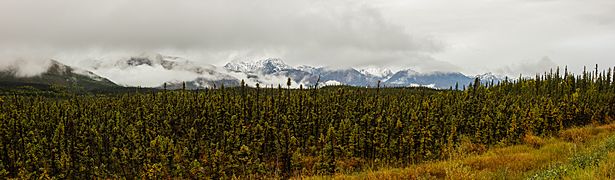 Cordillera de Alaska desde Tok, Alaska, Estados Unidos, 2017-08-29, DD 29-32 PAN