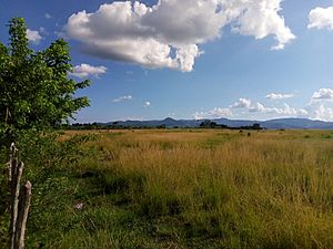 Archivo:Country landscape, Sancti Spíritus province