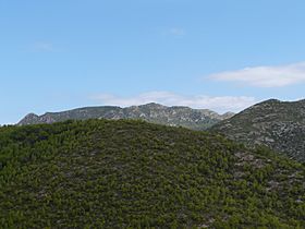 El Montmell (al fons) P1250380.jpg