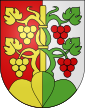 Hilterfingen-coat of arms.svg