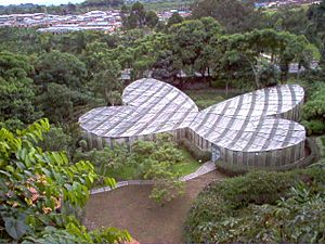 Archivo:Mariposario del Jardín Botánico del Quindio