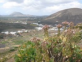 Vistas Montaña Blanca (San Bartolomé, Lanzarote)