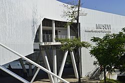 Archivo:Museo Elevado de Villahermosa (MUSEVI)