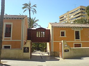 Archivo:Museo del Palmeral, Elche (Alicante)