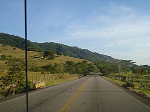 Archivo:Paisaje en la carretera interdepartamental