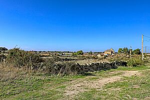 Archivo:Panorámica de Villarmuerto desde el cementerio