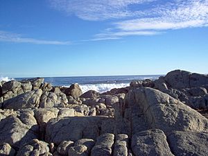 Archivo:Playa isla negra, V region, Chili
