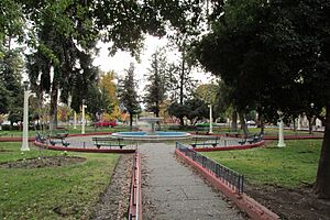 Archivo:Plaza de Requinoa