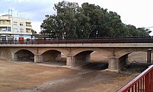 Archivo:Puente Viejo o de San Francisco en Fuente Álamo