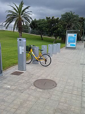 Archivo:Punto de recogida de bicicletas en Las Palmas de Gran Canaria, Calle Alicante