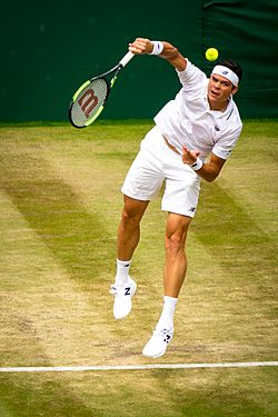Archivo:Raonic - Wimbledon 17 (34974374704)