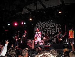 Reel Big Fish live in Santa Cruz.jpg