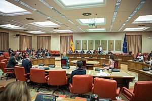 Archivo:Sala Constitucional Congreso Diputados